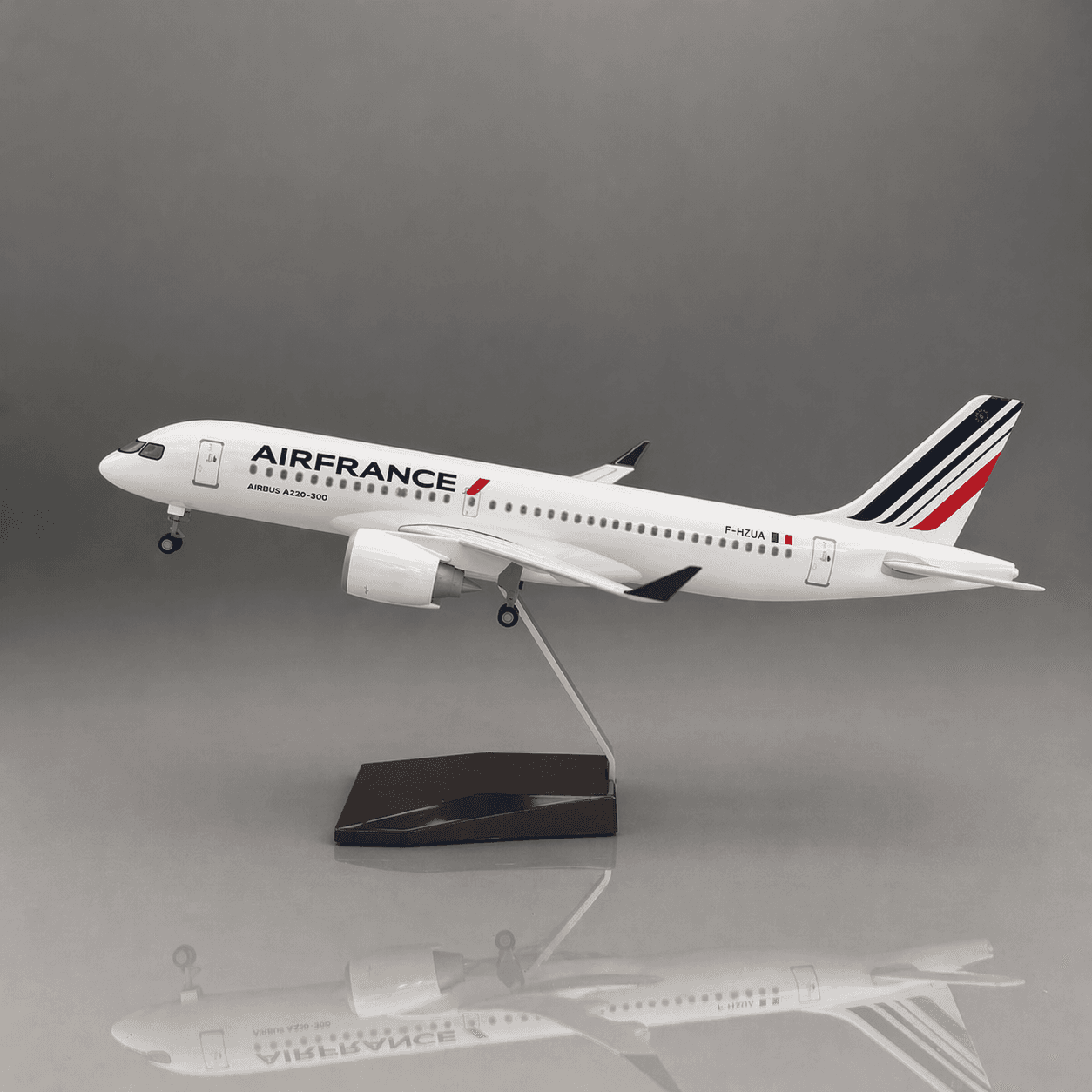 Airbus A220 Air France 1:100 en résine 