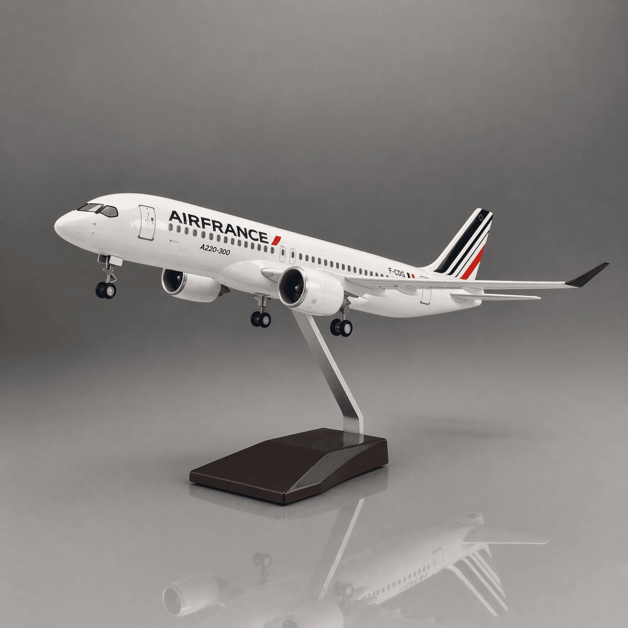 Airbus A220 Air France 1:100 en résine