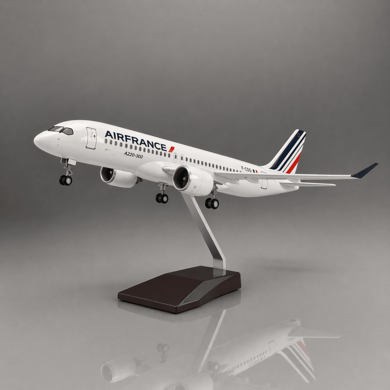Airbus A220 Air France 1:100 en résine